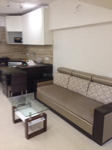 Hall Image of 650 Sq.ft 1 BHK Apartment / Flat for rent in Cumballa Hill Mumbai for Rs. 100000
