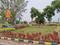 Pushpagiri Main Image 1