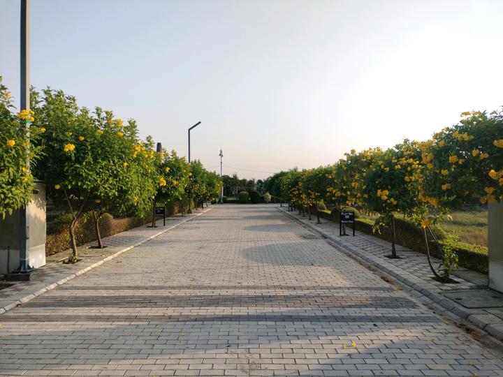 Mansha Oaks Main Image 1