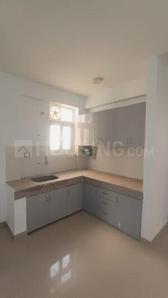 Kitchen Image of 745 Sq.ft 3 BHK Apartment / Flat for sale in ROF Amaltas, Sector 92 Gurgaon for Rs. 7200000