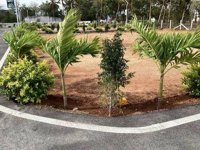 Image of 1550 Sq.ft Residential Plot / Land for sale in Kovilpalayam, Coimbatore for Rs. 3910000