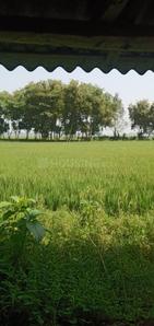 Image of 21600 Sq.ft Residential Plot / Land for sale in Galsi, Bardhaman for Rs. 200000