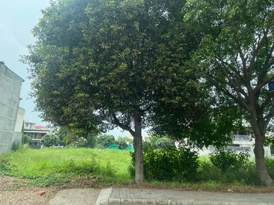 Residential Plot