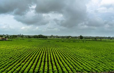Image of 5445 Sq.ft Residential Plot / Land for sale in Uvarsad, Gandhinagar for Rs. 76000080