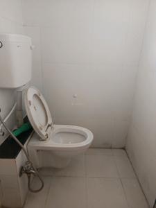 Common Bathroom Image of 1000 Sq.ft 2 BHK Apartment / Flat for sale in Magarpatta Trillium, Magarpatta City Pune for Rs. 17000000