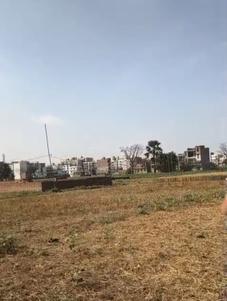 Phulwari Sharif Plot View 3