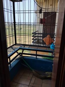 Balcony Image of 450 Sq.ft 1 RK Apartment / Flat for rent in Barjatya Pearl Galaxy, Bhicholi Mardana Indore for Rs. 9000