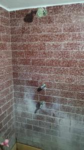 Bathroom Image of 510 Sq.ft 1 BHK Builder Floor for rent in Serampore Hooghly for Rs. 6000
