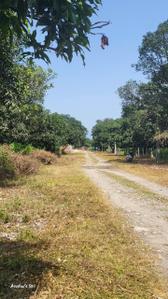 Image of 900 Sq.ft Residential Plot / Land for sale in Vikasnagar, Dehradun for Rs. 150000