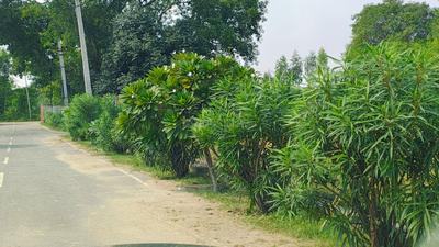 Image of 1250 Sq.ft Residential Plot / Land for sale in Nagram, Lucknow for Rs. 2500000