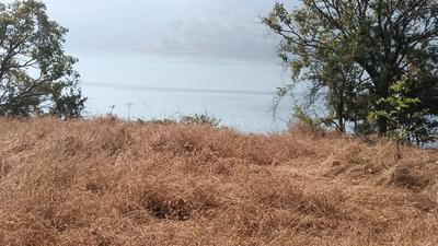 Image of 480000 Sq.ft Residential Plot / Land for sale in Panshet, Pune for Rs. 78000000