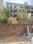 Brijlalpura, Nirman Nagar Main Image 1