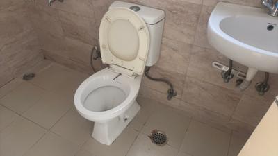 Image of 900 Sq.ft 2 BHK Apartment / Flat for rent in Wave Dream Homes, Wave City, Ghaziabad for Rs. 18000