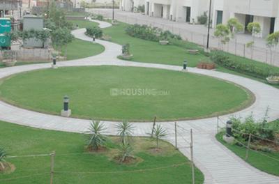 Image of 1400 Sq.ft 3 BHK Apartment / Flat for rent in Skynet Towers, Utrathiya, Zirakpur for Rs. 25000
