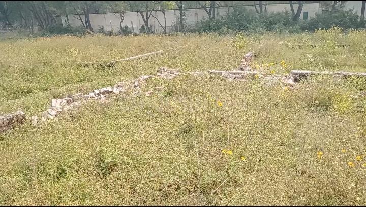 Haryana ballamgarh dhwaj alfla university ke pass mein hai Main Image 1