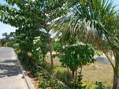 Image of 167 Sq.ft Residential Plot / Land for sale in Bhogapuram, Visakhapatnam for Rs. 3340000