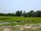Natures Paradise Main Image 1