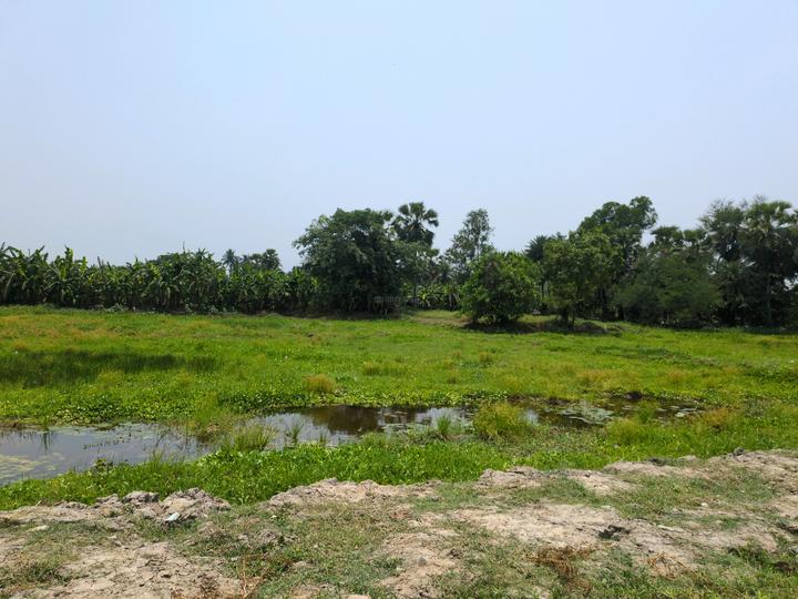 Natures Paradise Main Image 1