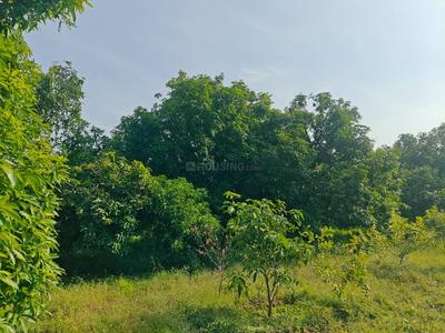 Image of 45302 Sq.ft Residential Plot / Land for sale in Kadavur, Madurai for Rs. 20000000