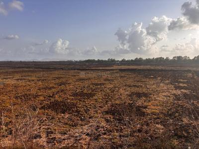 Vindhane Plot View 2