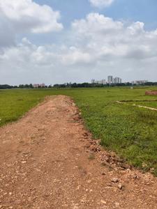 Image of 2000 Sq.ft Residential Plot / Land for sale in Dhaua, Bhubaneswar for Rs. 3500000