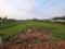 Azara Plot View 2