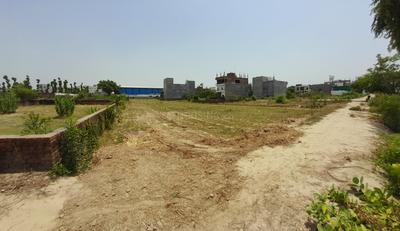 Balirampur Plot View 1