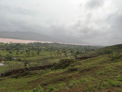 Image of 11000 Sq.ft Residential Plot / Land for sale in Bhor, Pune for Rs. 2100000