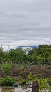 Image of 11000 Sq.ft Residential Plot / Land for sale in Murbad, Thane for Rs. 1949000