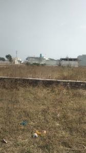 Pakhowal Plot View 2