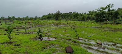 Image of 23600 Sq.ft Residential Plot / Land for sale in Murbad, Thane for Rs. 3900000