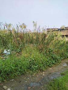 Image of 1440 Sq.ft Residential Plot / Land for sale in Maheshtala, Kolkata for Rs. 2500000