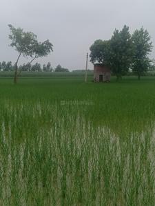 Image of 7163 Sq.ft Residential Plot / Land for sale in kairana, Shamli for Rs. 12000000