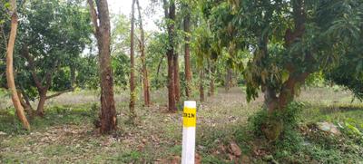 Image of 7000 Sq.ft Residential Plot / Land for sale in Vengal, Chennai for Rs. 2100000
