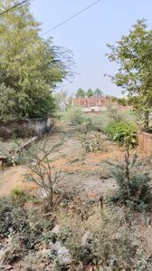 Shri Hari nagar colony kalli pashim Plot View 2