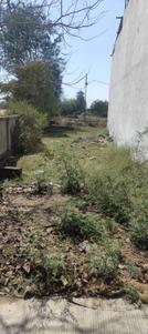 Image of 1130 Sq.ft Residential Plot / Land for sale in Manglia, Indore for Rs. 3200000