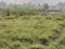 Chas Plot View 2