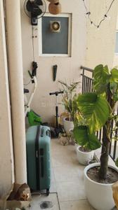 Balcony Image of 1690 Sq.ft 3 BHK Apartment / Flat for sale in Exotica Fresco, Sector 137 Noida for Rs. 25000000