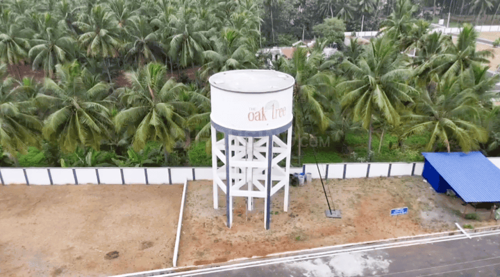 Oak Tree Main Image 1