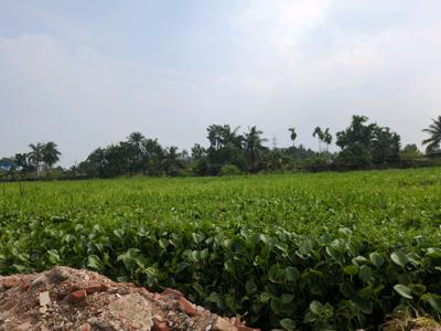 Image of 1440 Sq.ft Residential Plot / Land for sale in Wander Valley, Joka, Kolkata for Rs. 650000
