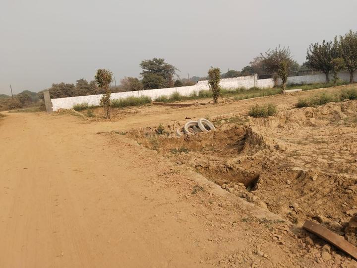 Dankaur Main Image 1