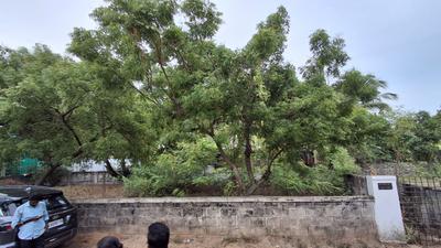 Image of 4800 Sq.ft Residential Plot / Land for sale in Panaiyur, Sholinganallur, Chennai for Rs. 54000000