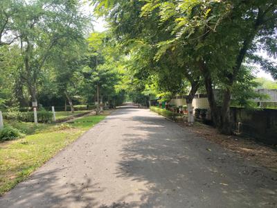 Image of 500 Sq.ft Residential Plot / Land for sale in Chi III, Greater Noida for Rs. 63000000