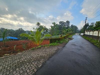 Image of 39100 Sq.ft Residential Plot / Land for sale in Aikaranad South, Kochi for Rs. 325000