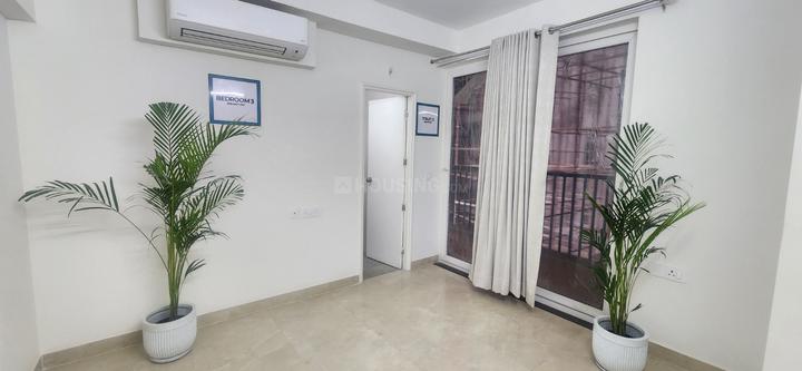 Sare Altura Main Image 1