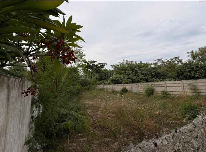 Raja Garden Main Image 1