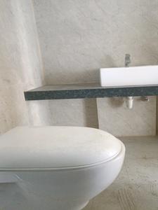 Common Bathroom Image of 1068 Sq.ft 2 BHK Apartment / Flat for sale in Gera Misty Waters, Mundhwa Pune for Rs. 9000000