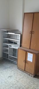 Bedroom Image of 620 Sq.ft 2 BHK Apartment / Flat for rent in Ghodasar Ahmedabad for Rs. 12000