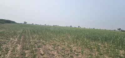 Image of 19000 Sq.ft Residential Plot / Land for sale in Lothal, Ahmedabad for Rs. 47500000
