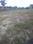 sanjay bunglow Main Image 1